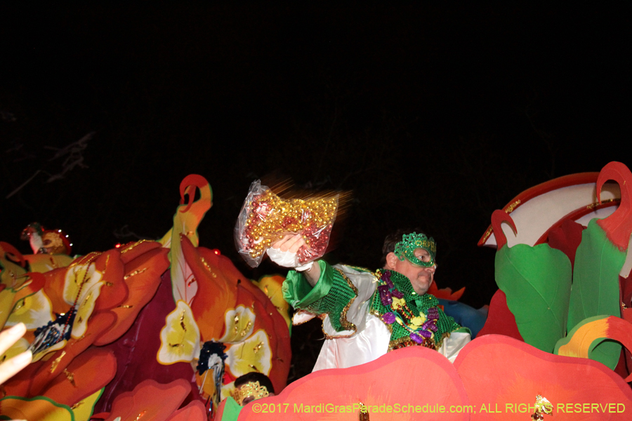 Krewe-of-Orpheus-2017-11809