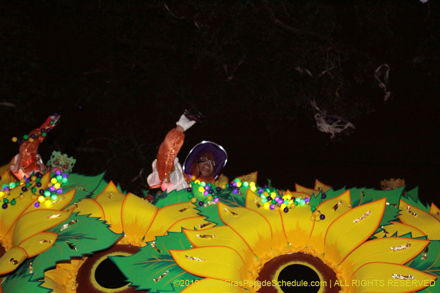 Krewe-of-Orpheus-2019-009839