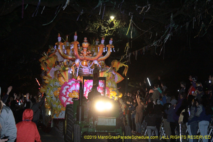 Krewe-of-Orpheus-2019-009845