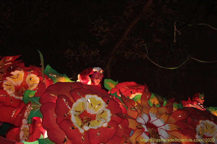 Krewe-of-Orpheus-2020-09106