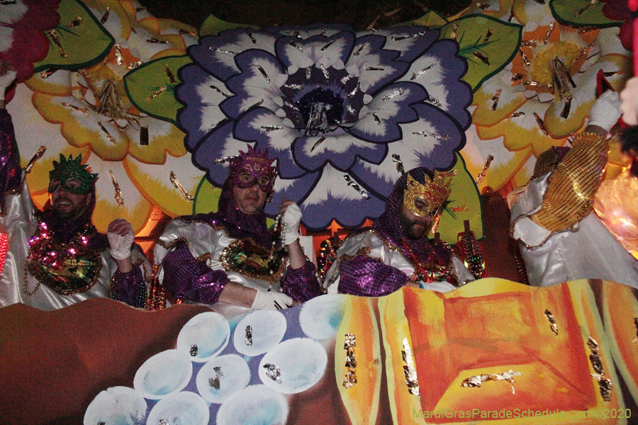 Krewe-of-Orpheus-2020-09118