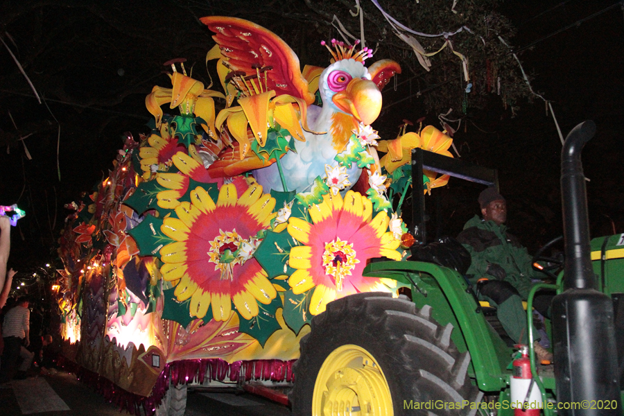 Krewe-of-Orpheus-2020-09140