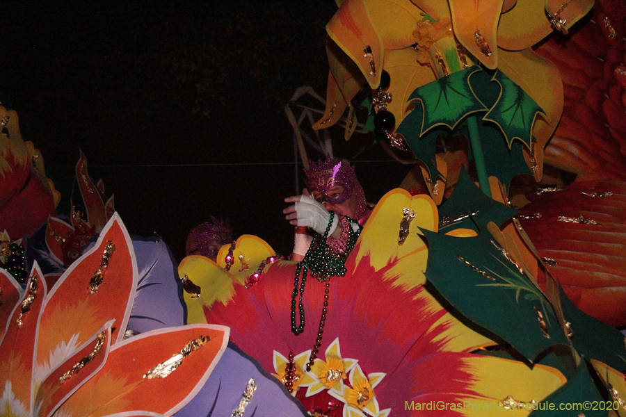 Krewe-of-Orpheus-2020-09141