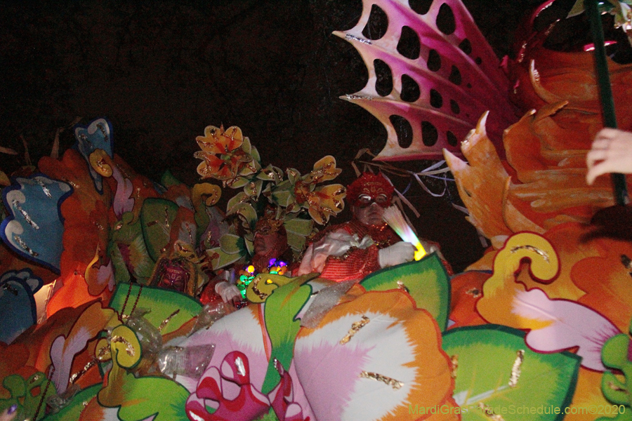 Krewe-of-Orpheus-2020-09181