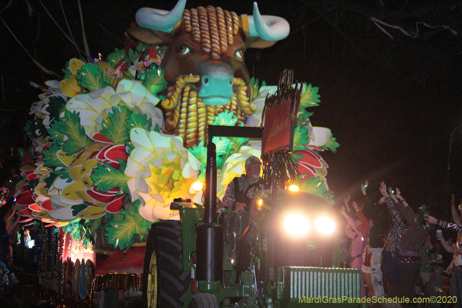 Krewe-of-Orpheus-2020-09188