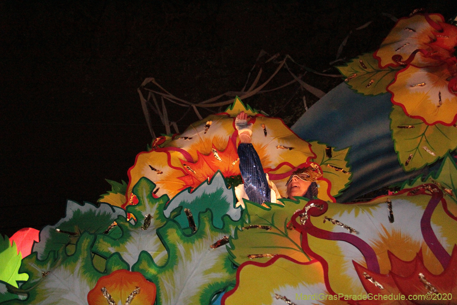 Krewe-of-Orpheus-2020-09201