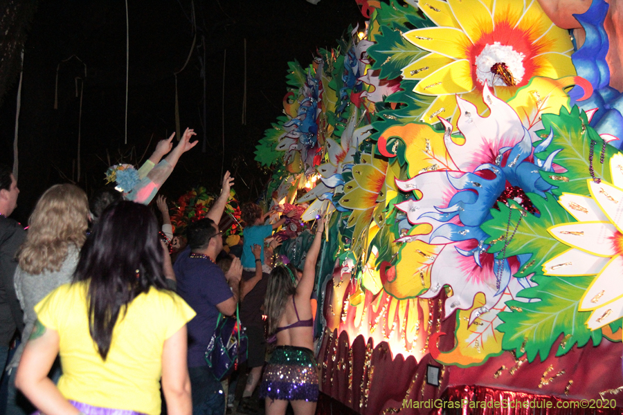 Krewe-of-Orpheus-2020-09278