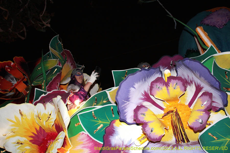 2023-Krewe-of-Orpheus-10884