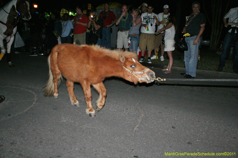 Krewe-of-Oshun-2011-0205