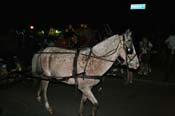 Krewe-of-Oshun-2011-0203