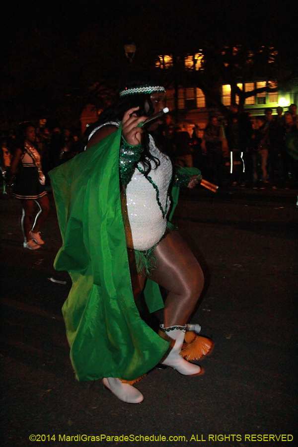 2014-Krewe-of-Oshun-11205