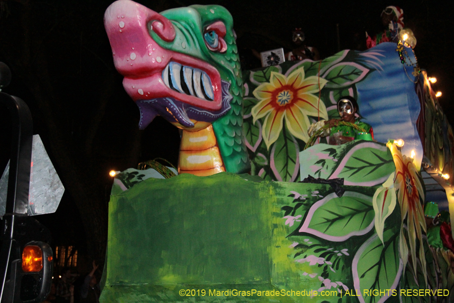 Krewe-of-Oshun-2019-001511