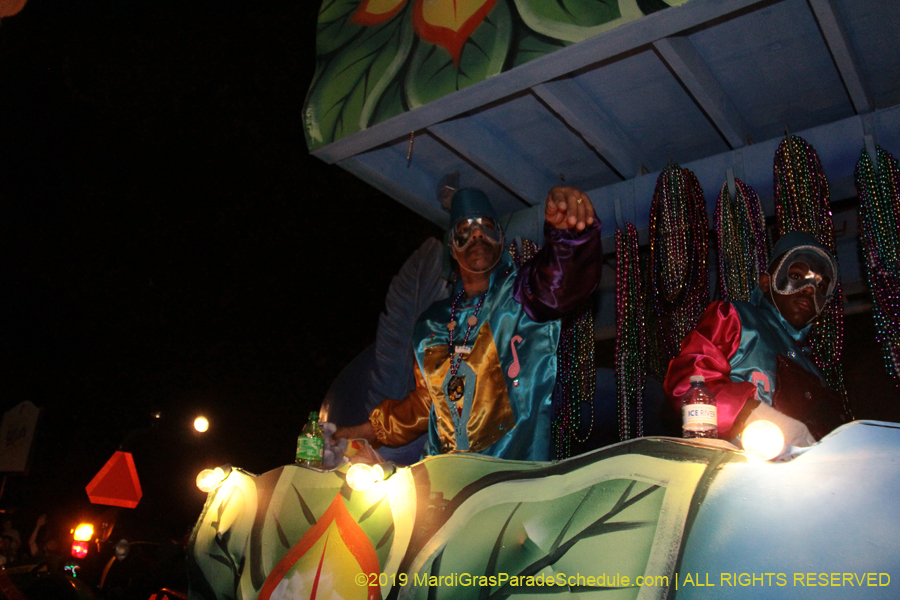 Krewe-of-Oshun-2019-001529