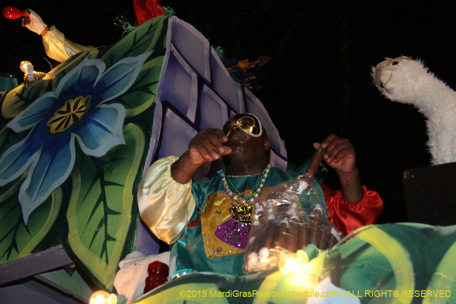 Krewe-of-Oshun-2019-001542