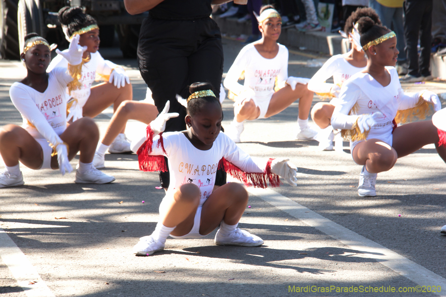 Krewe-of-Pontchartrain-2020-02426