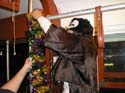 Phunny_Phorty_Phellows_2007_1160177