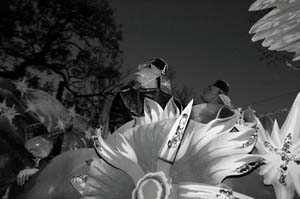 Krewe-of-Proteus-00120-2022