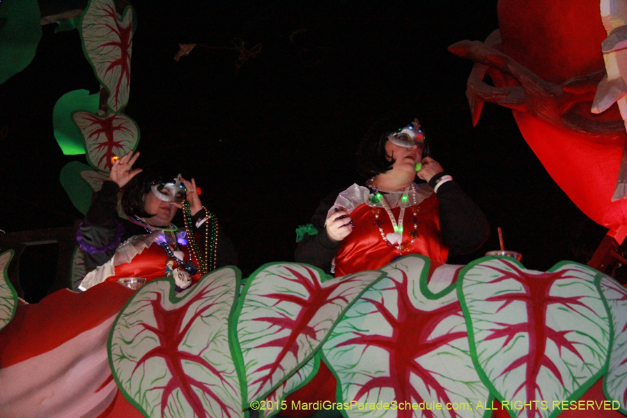 Krewe-of-Pygmalion-2015-11893