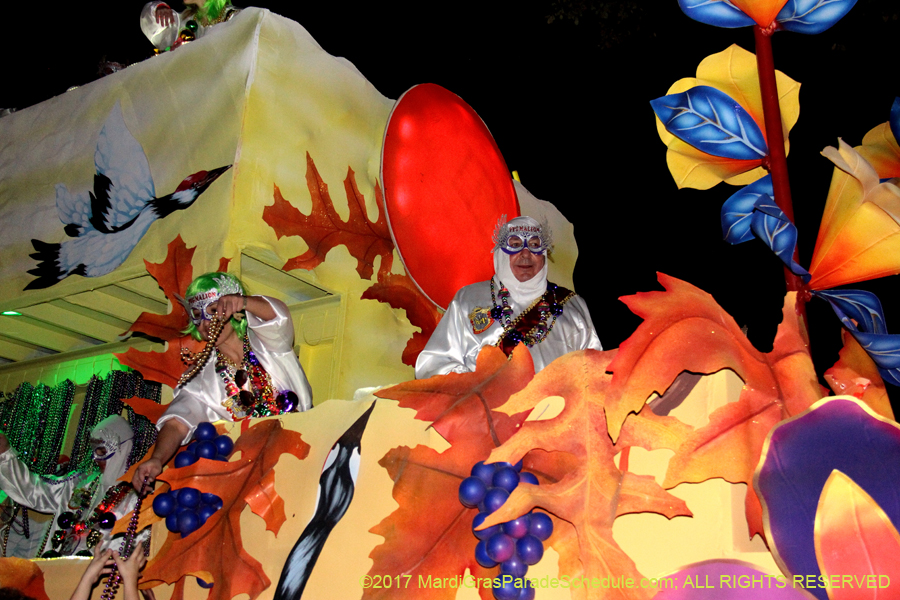 Krewe-of-Pygmalion-2017-03153