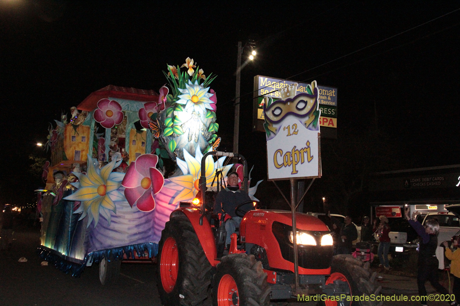 Krewe-of-Pygmalion-2020-02956