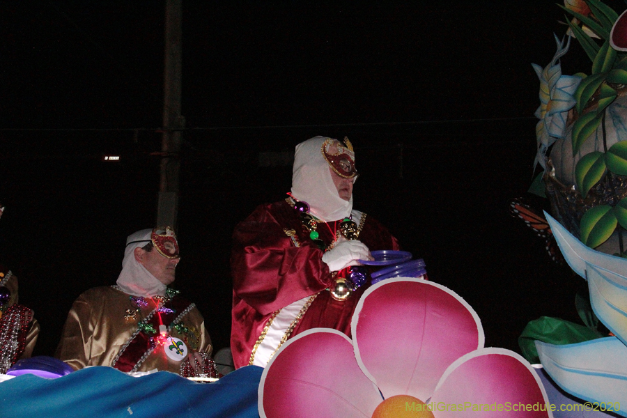 Krewe-of-Pygmalion-2020-02957