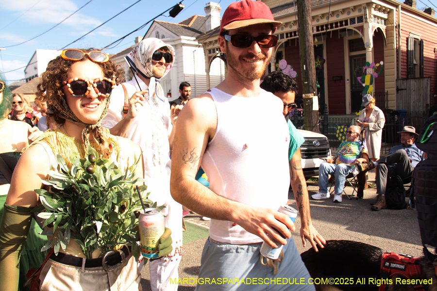 Krewe-of-Red-Beans-2025-2434