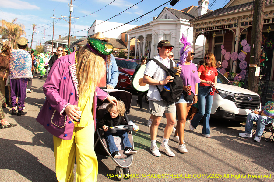 Krewe-of-Red-Beans-2025-2439