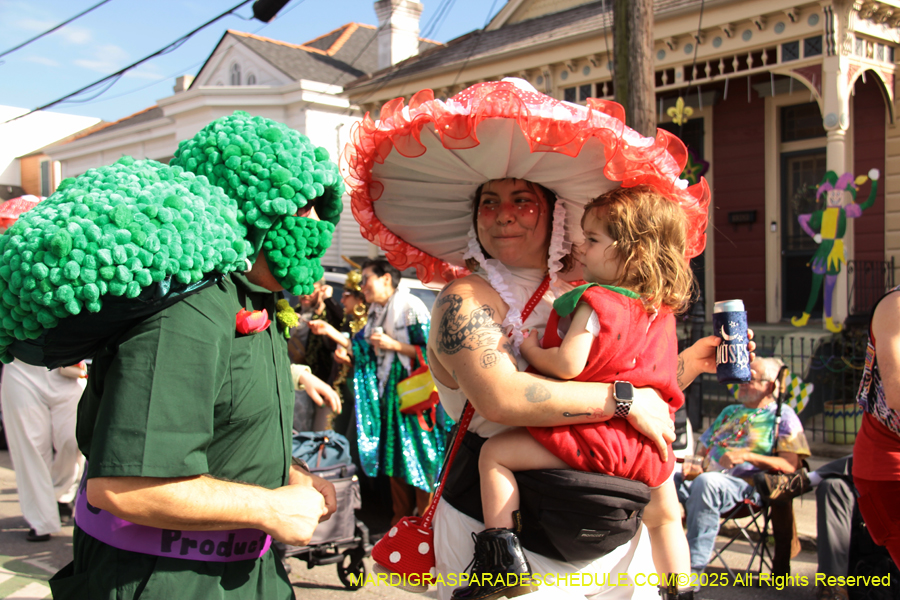 Krewe-of-Red-Beans-2025-2448