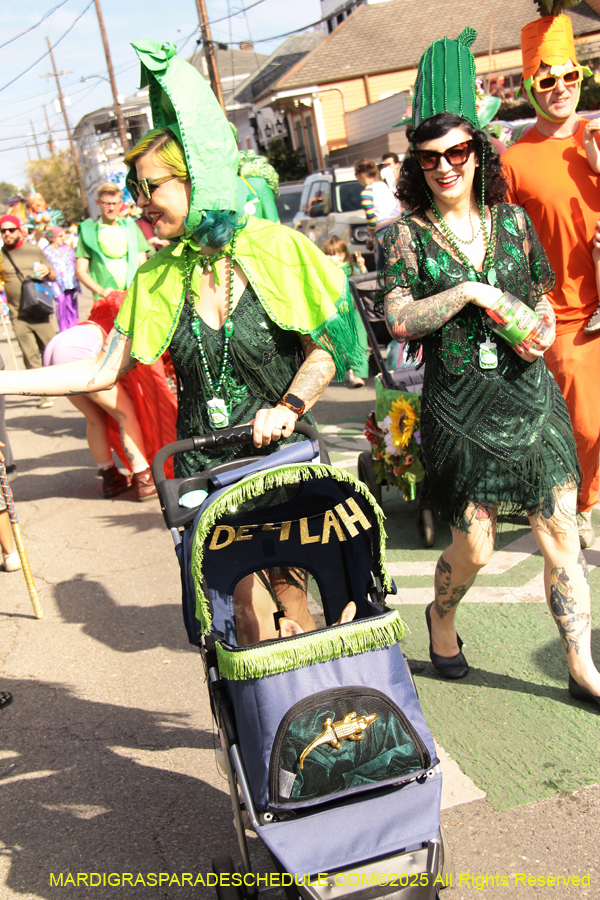 Krewe-of-Red-Beans-2025-2449