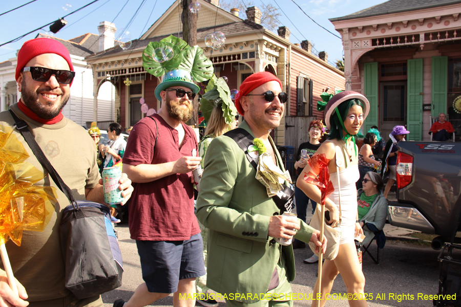 Krewe-of-Red-Beans-2025-2454