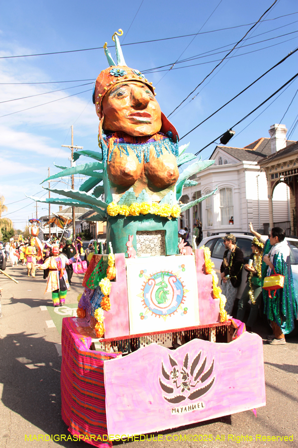 Krewe-of-Red-Beans-2025-2462