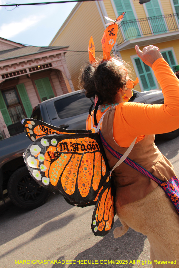 Krewe-of-Red-Beans-2025-2465