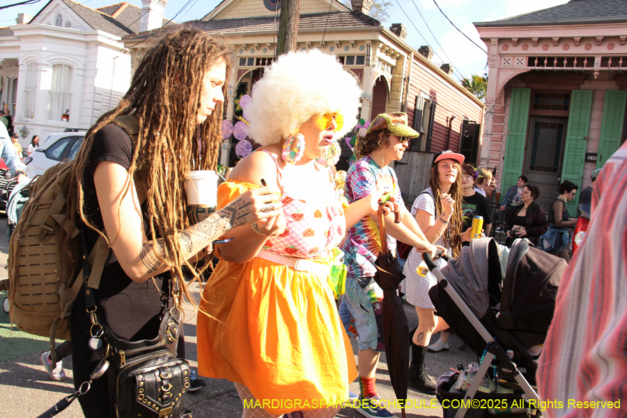 Krewe-of-Red-Beans-2025-2514