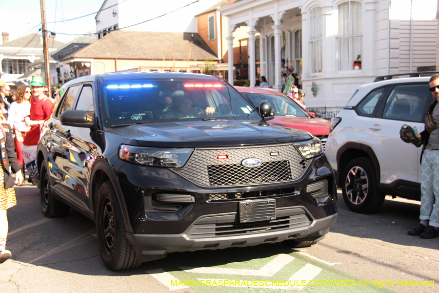 Krewe-of-Red-Beans-2025-2519