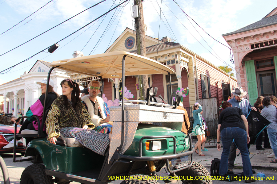 Krewe-of-Red-Beans-2025-2531