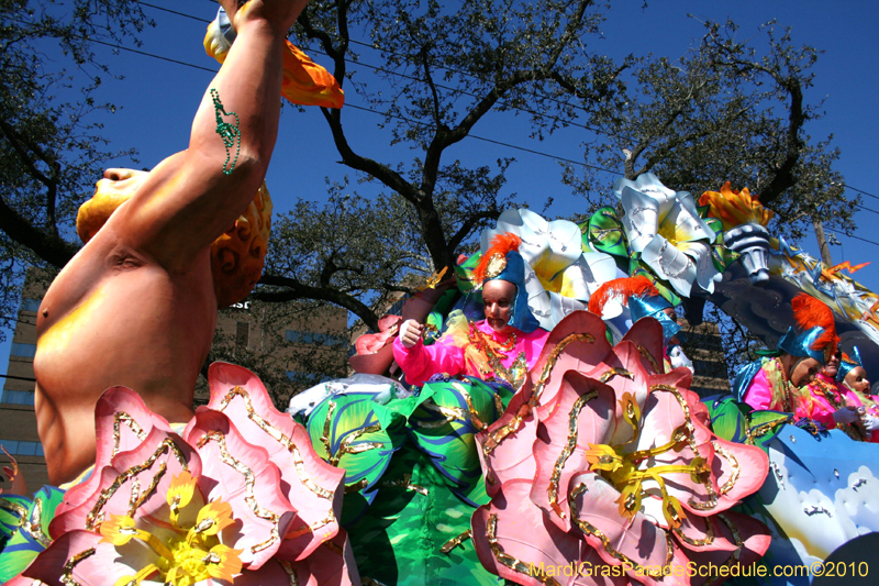 Rex-King-of-Carnival-New-Orleans-Mardi-Gras-0484