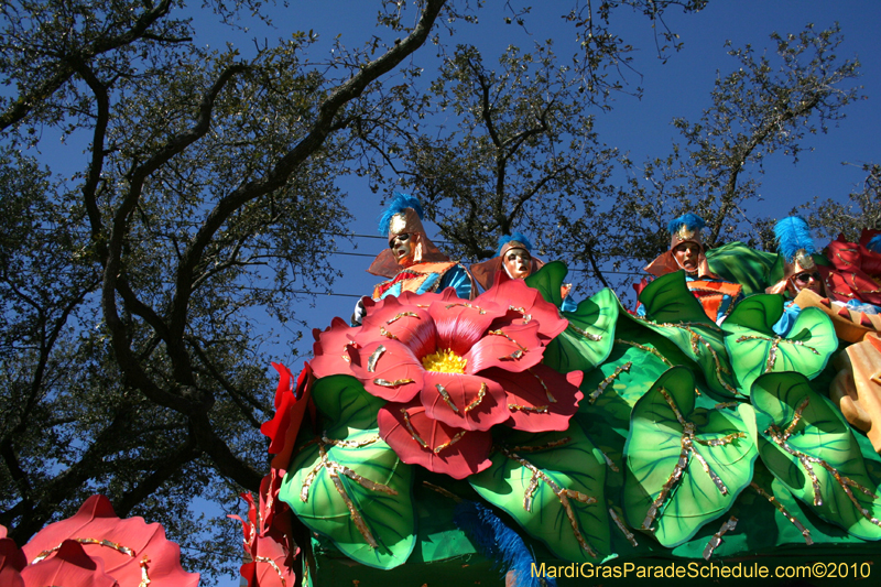 Rex-King-of-Carnival-New-Orleans-Mardi-Gras-0551