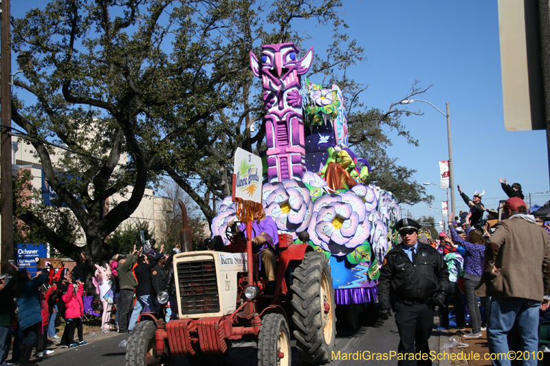 Rex-King-of-Carnival-New-Orleans-Mardi-Gras-0589