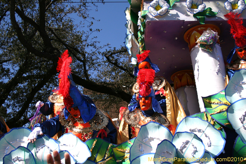 Rex-King-of-Carnival-New-Orleans-Mardi-Gras-0769