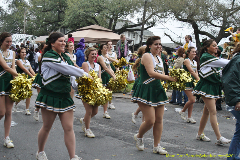 Rex-King-of-Carnival-2011-0136