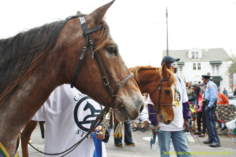 Rex-King-of-Carnival-2011-0435