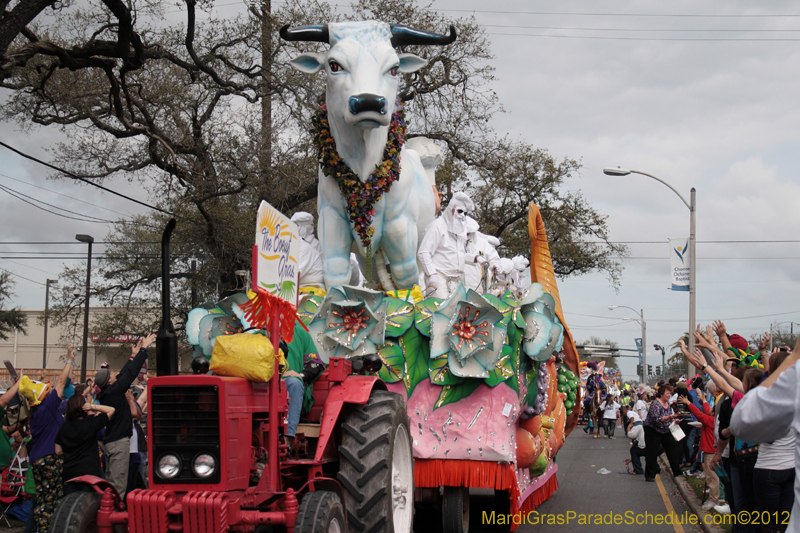 Rex-King-of-Carnival-2012-0064