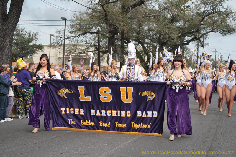 Rex-King-of-Carnival-2012-0073