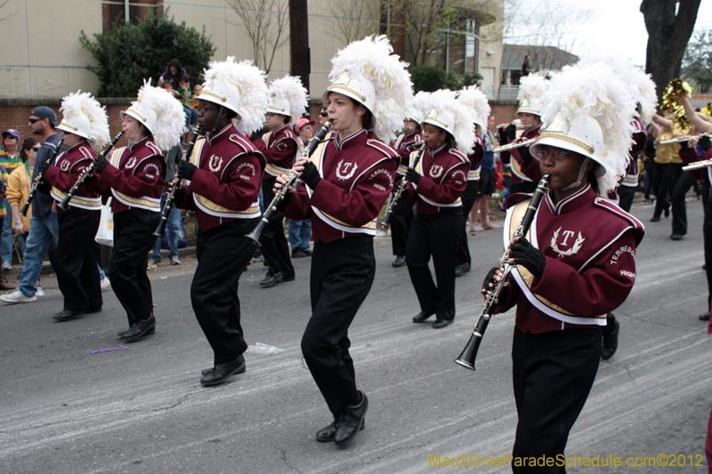 Rex-King-of-Carnival-2012-0256