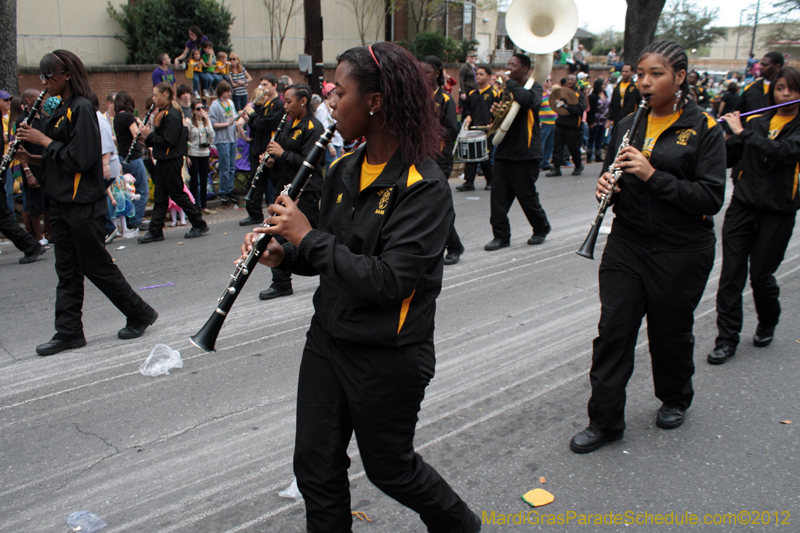 Rex-King-of-Carnival-2012-0266