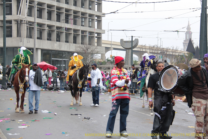 Rex-Organization-2013-1331