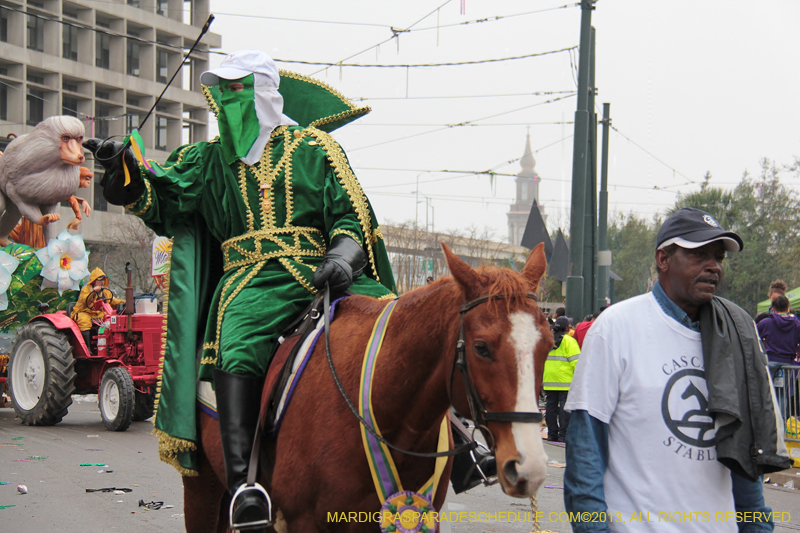 Rex-Organization-2013-1334