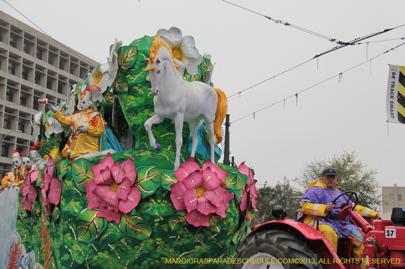 Rex-Organization-2013-1343