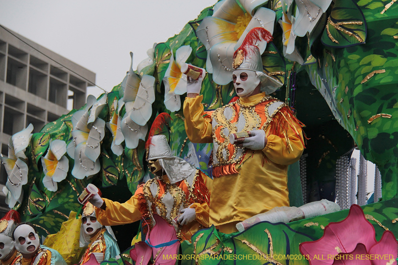 Rex-Organization-2013-1345