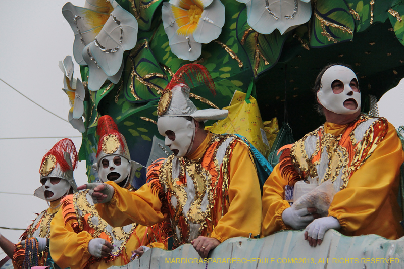 Rex-Organization-2013-1348